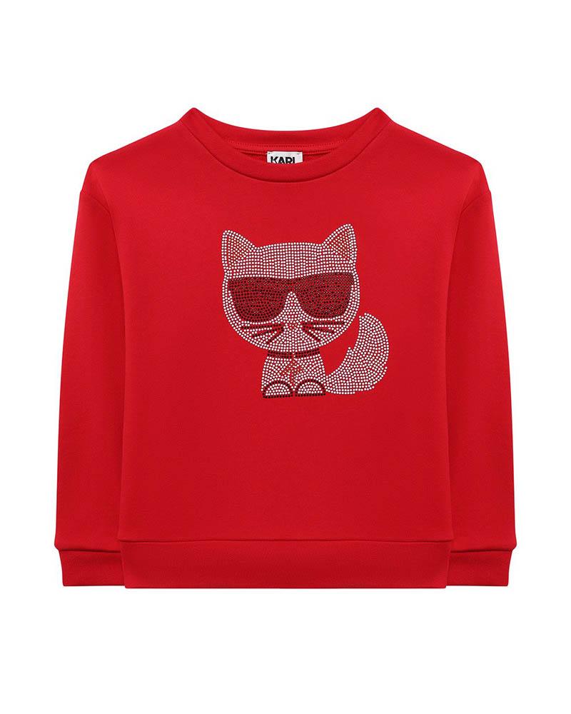 Толстовка Karl Lagerfeld