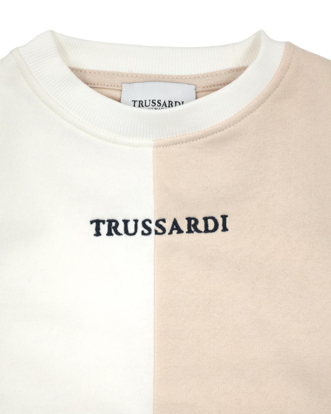 Толстовка Trussardi
