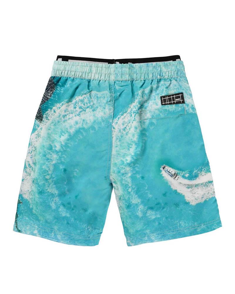 Шорты Molo