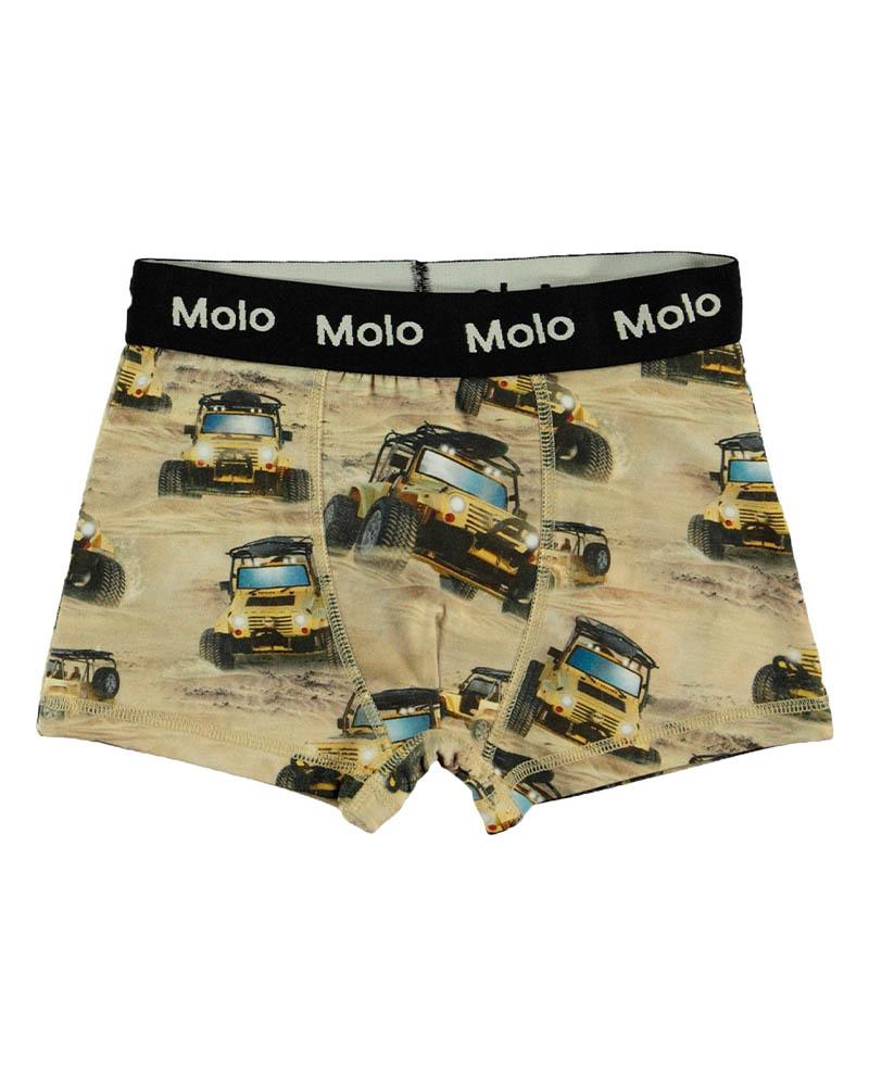 Трусы -2 шт Molo