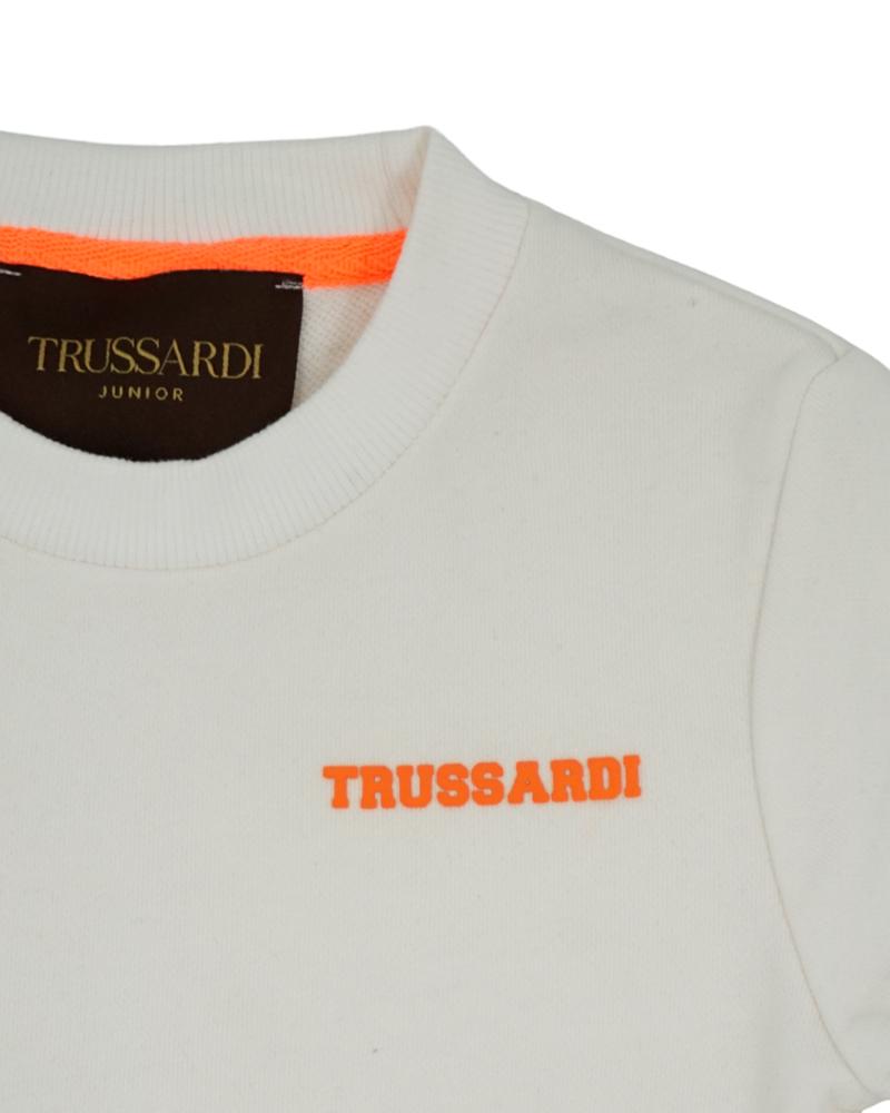 Толстовка Trussardi