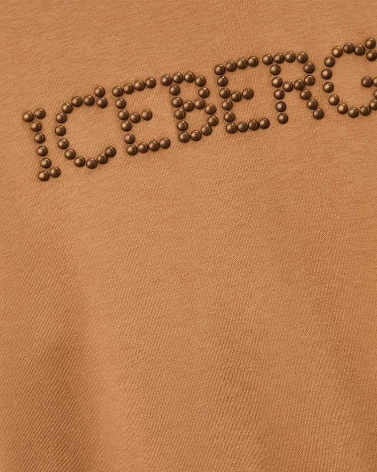 Толстовка Iceberg